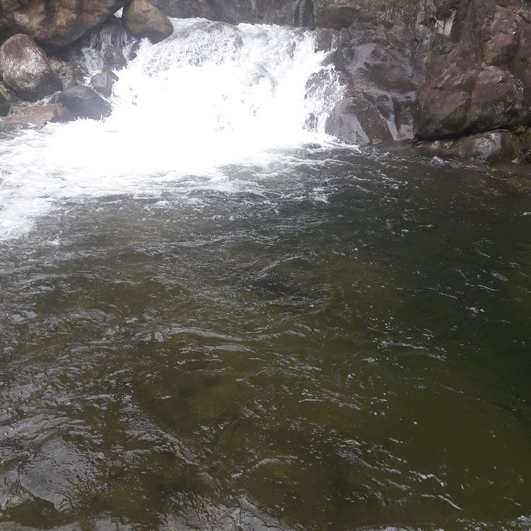 산방펜션계곡 맑은물 맑은공기