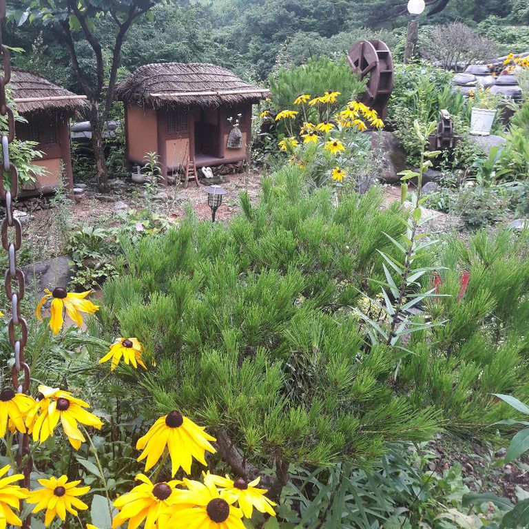 꽃과 오두막이 잘 어울립니다.