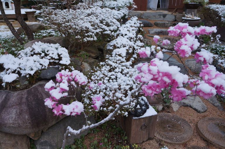설경